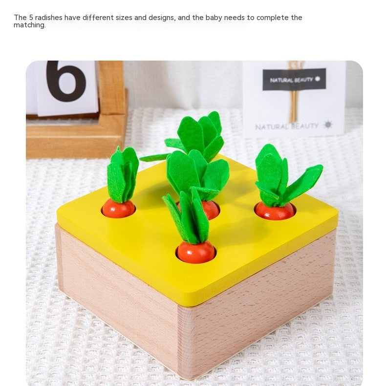 Four-in-one Montessori Teaching Aids Drawer Coin Box Toys