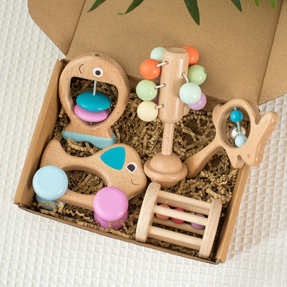 Wooden Baby Colored Five Piece Toy Set