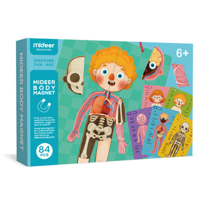 Mideer Children's Human Body Cognitive Puzzle